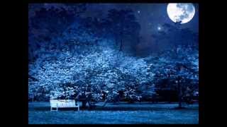 38 special - Take me through the Night