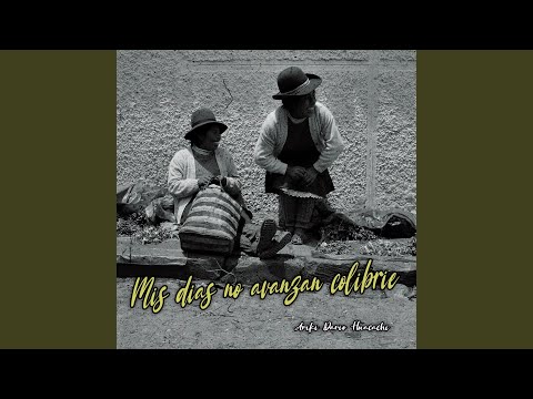 Mis dias no avanzan colibrie