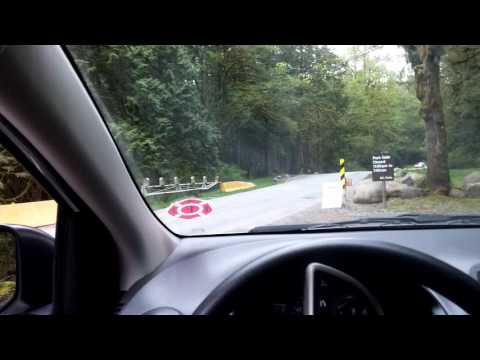 Fire Truck Horn Pt.2! Wolo 846 "The Chief"
