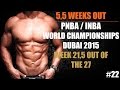 5,5 Weeks Out PNBA / INBA Natural Bodybuilding World's Dubai 2015 - #22