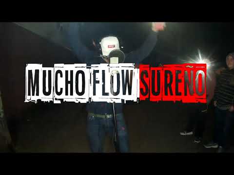 "VEGETAL". Cypher cap. 4, ||Temporada 2 MUCHO FLOW SUREÑO||