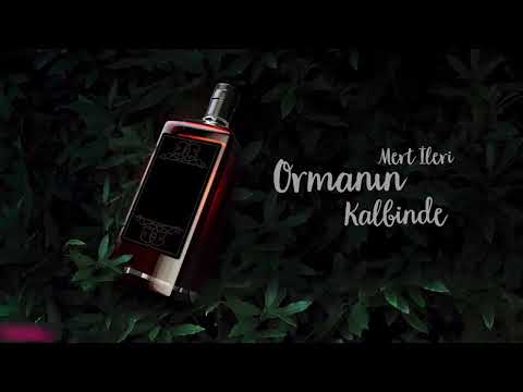 Mert İleri - Ormanın Kalbinde