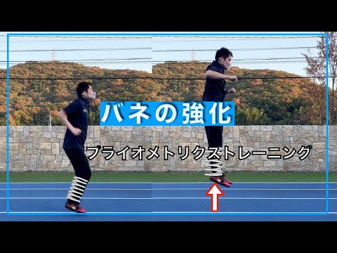 体育学科 パワー・プライオメトリクスレーニング③　バネの強化　IPU workout 3