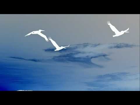 Robert Lippok - ALL OBJECTS ARE MOVING