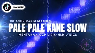 Download lagu DJ PALE PALE SLOW Viral Tiktok!! (MENTAHAN LIRIK) mp3