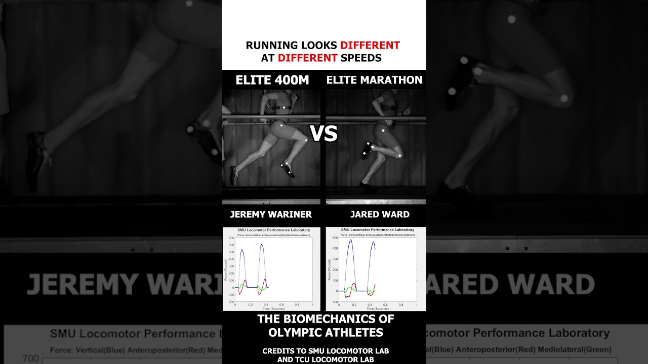 Biomechanics: Olympic Sprinter vs. Olympic Marathoner