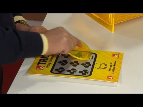 Bertil skrapar Triss - Nyhetsmorgon (TV4)