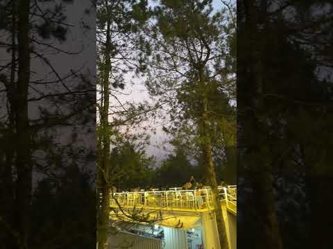 Nongkrong di cafe kece dengan view hutan yang bikin betah, ditambah udara sejuk yang menyegarkan! 🌲☕