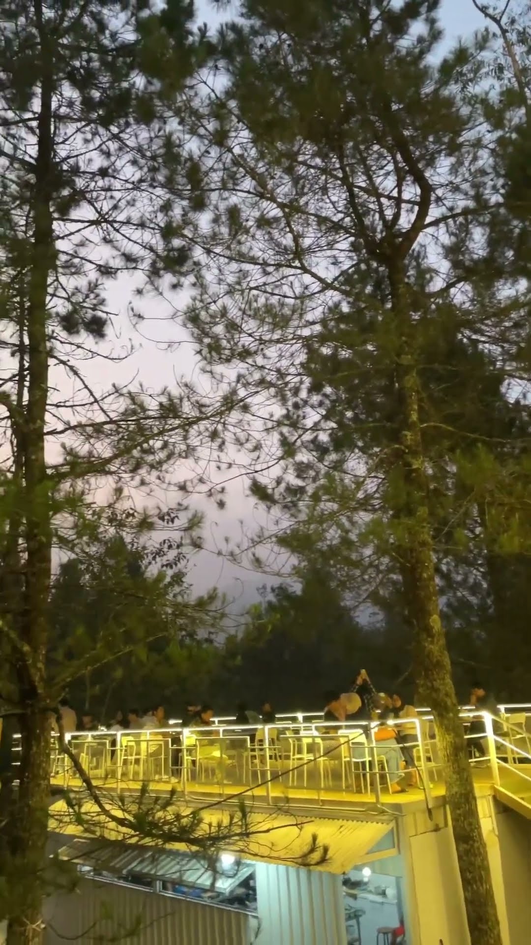 Nongkrong di cafe kece dengan view hutan yang bikin betah, ditambah udara sejuk yang menyegarkan! 🌲☕