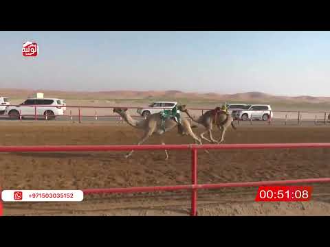  ش 19 (شاهين) لـ حامد صغيرون بن حميد الدرعي 2:18:28 ، شارة الصندوق 2026/05/09 فطامين الرقيعات