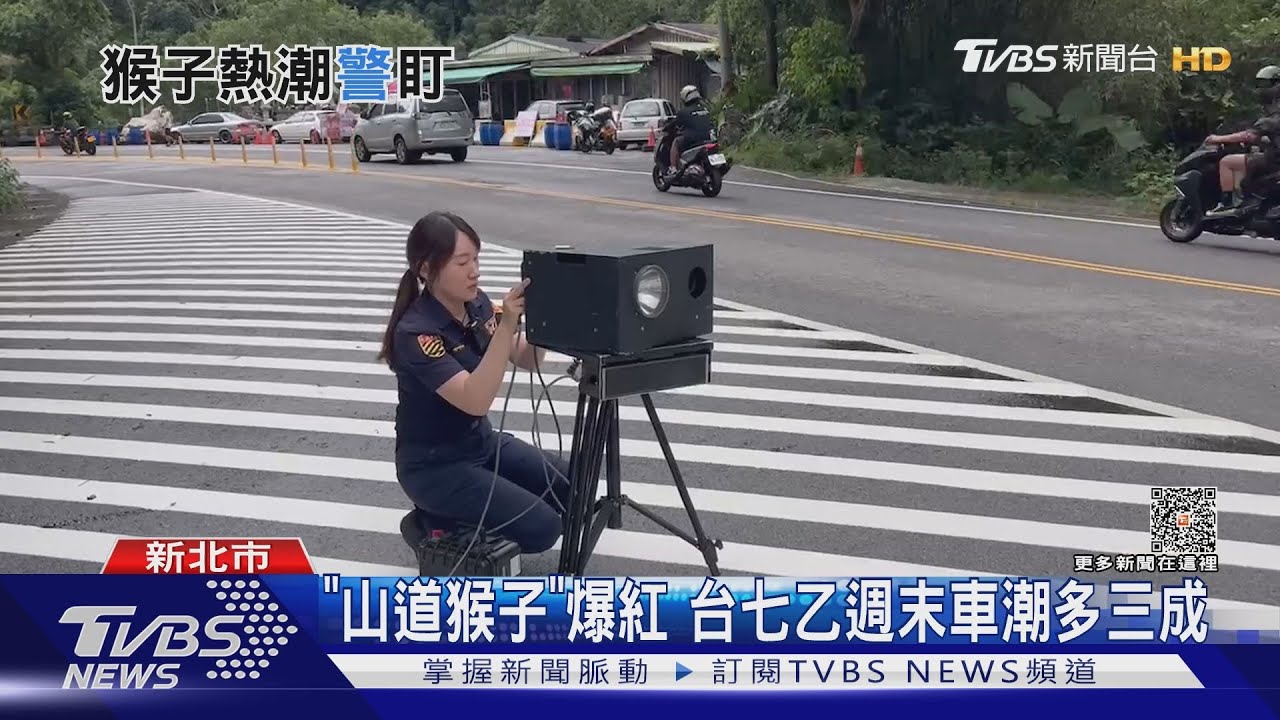 「山道猴子」爆紅 台七乙週末車潮多三成