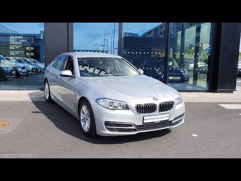 132D3191 - 2013 BMW 5 Series 518d SE 16,900