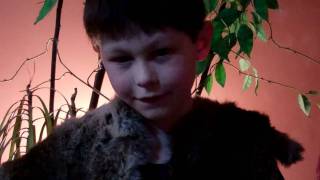 WBEN TV News Report