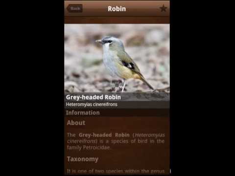 Bird Sounds, Calls, Songs & Ringtones Video