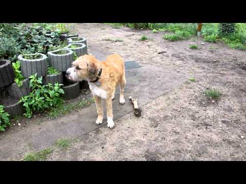 110811 101342 07.MOV