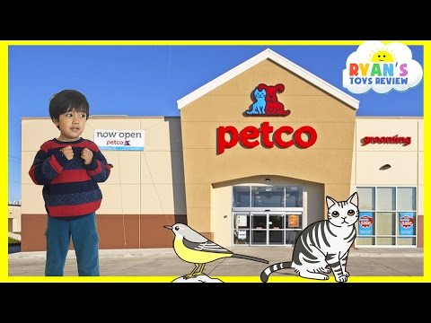 Family Fun Trip to PetCo Animals for Kids Video