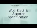 Buy Best Electric Scooter in India Wolf Bike by Joy eBike