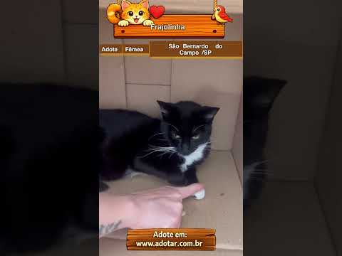 Vídeo de Frajolinha