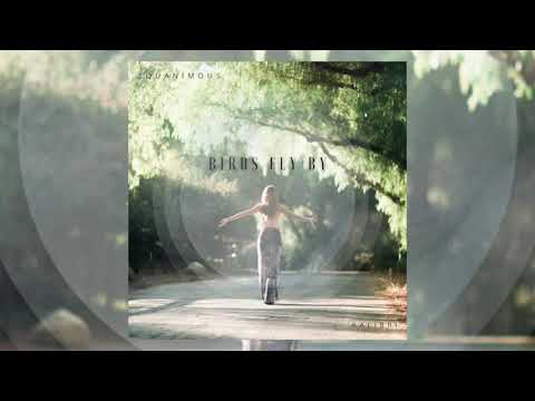 Equanimous & Kalibri - Birds