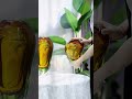 Episode 18: Try this amber glass vase #crafts #beautiful #home #vases #vase