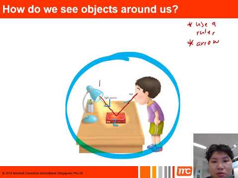 Whiteboard series   light