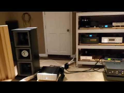 Mikey Rig Reaction #1 The Royal One