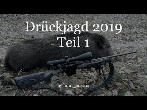 Drückjagd 2019 Teil1 // driven hunt 2019 part1