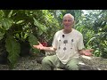 Summer Kirtan Camp with Jai Uttal in Costa Rica at Blue Spirit