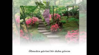 BURHAN DİKENCİK Bahçeye indim ki gülleri derem