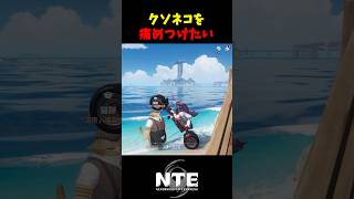 【NTE】ニャクラッチ店員を懲らしめたい【NTE: Neverness to Everness】#shorts