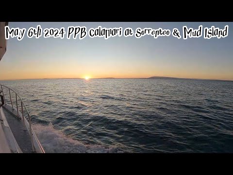 May 2024 -Ep 3 - Port Phillip Bay Calamari with friends & Clicks Jigs at Sorrento & Mud Island