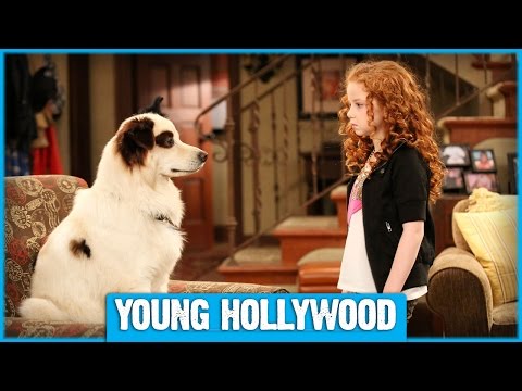 YouTube video about: Which dog with a blog character are you?