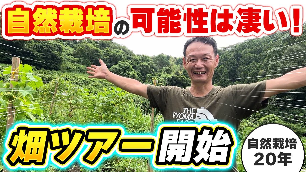 耕作放棄地が4ヶ月で豊かな畑に再生