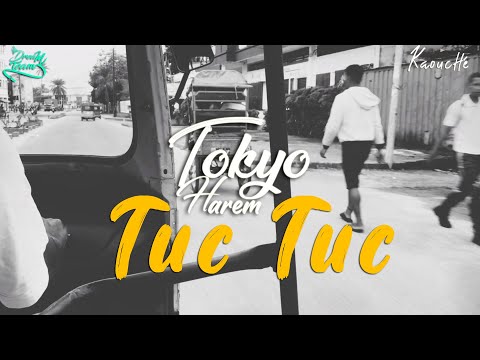 Tokyo Harem - Tuc Tuc ( lyrics visualiser )