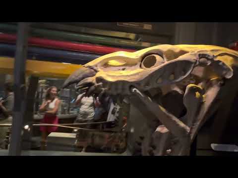 Disneys Animal Kingdom: Flight of Passage Avatar ride laboratory queue room