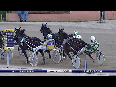 Aversa trotto 12 Febbraio 2020 - 4° Corsa
