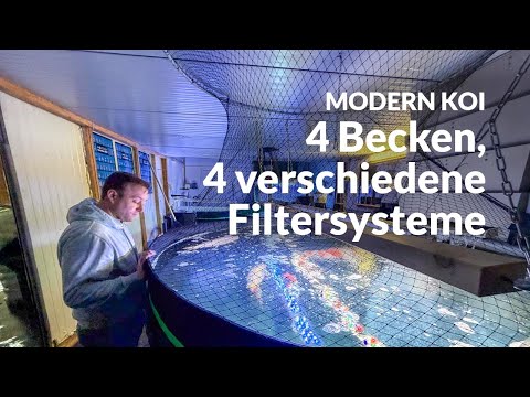 So filtert Georg seine Innenhälterungen | Modern Koi Blog #7915