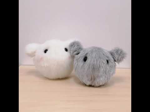 美術学科 BYOO & WYOO