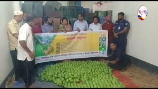 ঝিনাইদহের আম দেশের গন্ডি পেরিয়ে ইউরোপে