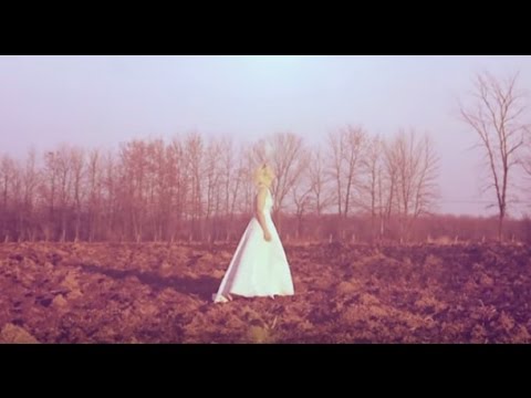 The Besnard Lakes - The Plain Moon (Official Video)