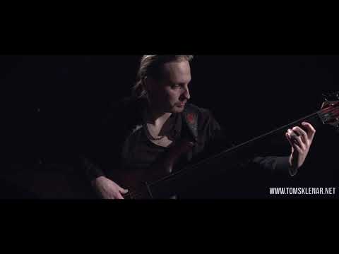 Dream Theater - Erotomania - Fretless Bass Cover