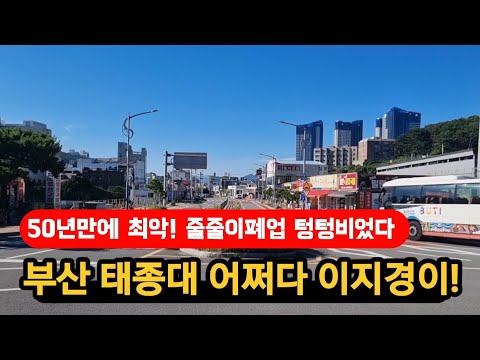 부산태종대 상상도못할 비극! 난리났다!다망했다 텅텅비었다