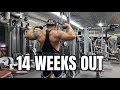 INTENSE BACK WORK OUT | TRY MO‼️ |14weeks out what show???