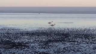 preview picture of video 'Salar de Uyuni, cerca volcan Tunupa, Bolivia'