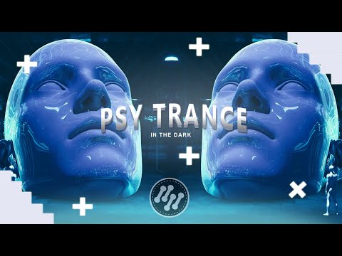 PSY TRANCE ♦ Tiësto feat. Chris Burns - In The Dark (MEOW Remix)