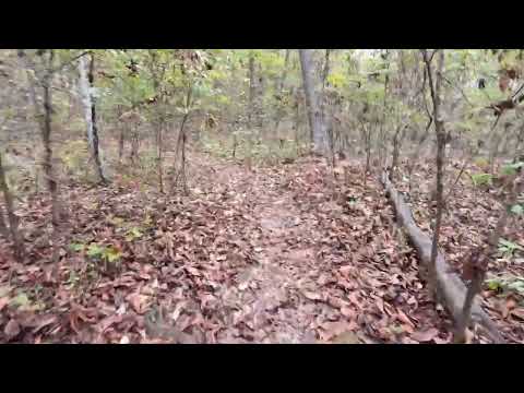 Herbst Woods - Advance of Pettigrew's Brigade - Part II