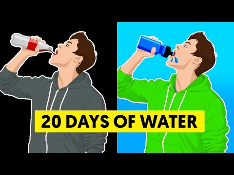 What happens when you replace all drinks with water for 20 days