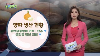 [영농길라잡이 농업관측] 2022년 7월 양념채소