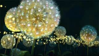 john mayer - emoji of a wave slowed x reverb