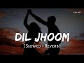 Dil Jhoom (Slowed + Reverb) | Vishal Mishra, Shreya Ghoshal | Crakk | SR Lofi